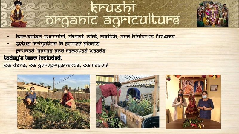 File:KAILASA-LOS-ANGELES--USA-2021-01-10-1vMfikAGt6BinawAAPMxMejmSUIHZ7q8g.pdf