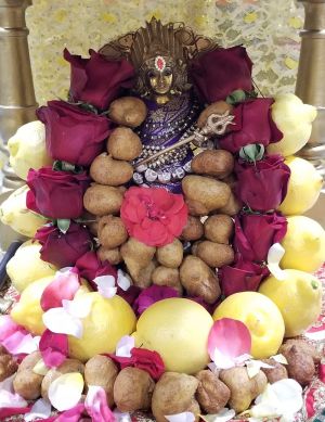 KAILASA-LOS-ANGELES--USA-2022-04-24-1hHGDK5j2bieIL2RchkSkX0wt3MI1djzz.jpg