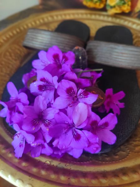 File:KAILASA-MELBOURNE--AUSTRALIA-2021-01-28-1NZyl9mNZFafx8FWp-wttZi0cXIh IAli.jpg