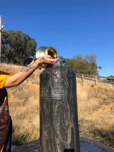 KAILASA-MELBOURNE--AUSTRALIA-2021-03-11-1 d9S PHE30Lv- gI85z81ZOMaKWaCg4y.jpg