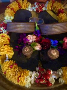 KAILASA-MELBOURNE--AUSTRALIA-2021-06-27-1tr0oEJj7Qig7zq1hmSpQP OHPW9IhyyF.jpg