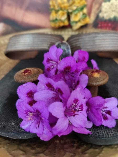 File:KAILASA-MELBOURNE--AUSTRALIA-2022-02-05-1a3M790tbD-oqQ5qJ DfNvzMncZt4Q66O.jpg