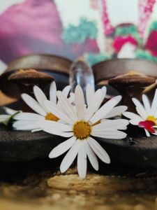 KAILASA-MELBOURNE--AUSTRALIA-2022-04-26-1BvIAopnS6Cw4e8YPWALsH TpoFcrsoIu.jpg