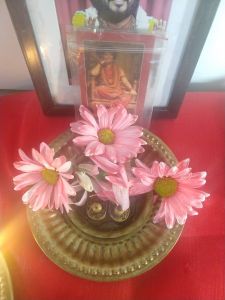 KAILASA-NEW-HYDE-PARK--USA-2020-12-22-1yxZuJfplj89Ww vZ2v34s ETwjVeEc43.jpg