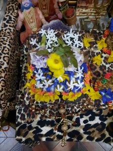 KAILASA-SAN-FERNANDO--TRINIDAD-&-TOBAGO-2022-01-02-1wmN -50lPwO4g11hYL8q7Vy8y6q5HWVA.jpg