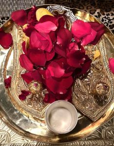 KAILASA-SAN-JOSE--USA-2022-02-08-1UwFQqJhT2 1NGBIrTyojPp-mQSMOI6sp.jpg