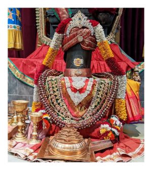 KAILASA-SAN-JOSE--USA-2022-02-19-1HmqXqdoYyIkX aBjxyhS63M6Cm1gc9yl.jpg