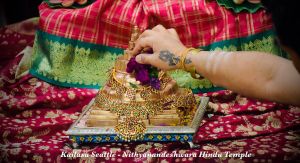 KAILASA-SEATTLE--USA-2020-10-20-1nDOqDQydFbT7ph-OXyw3uq zZF8Sw9LX.jpg