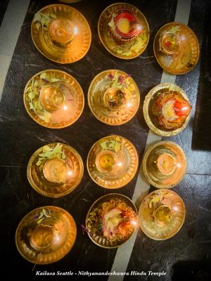 KAILASA-SEATTLE--USA-2020-11-29-1Y5QDV MYpGqzScN228oQO-wS1kjzOb66.jpg