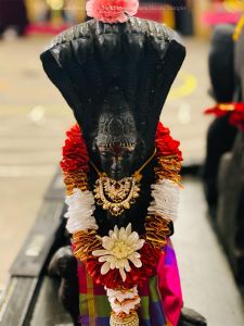 KAILASA-SEATTLE--USA-2020-12-19-1g660FKLzQPyipX jwGpTmJqz6vyoQfQH.jpg