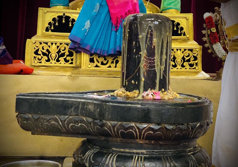 File:KAILASA-SEATTLE--USA-2021-03-11-12SHkGggps etTuYNHDncWohwJAoJMhYD.jpg