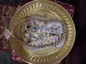 KAILASA-SEATTLE--USA-2021-07-17-1nvhAaRZLoYlvfnPDm2YFIhqHCld HxYd.jpg