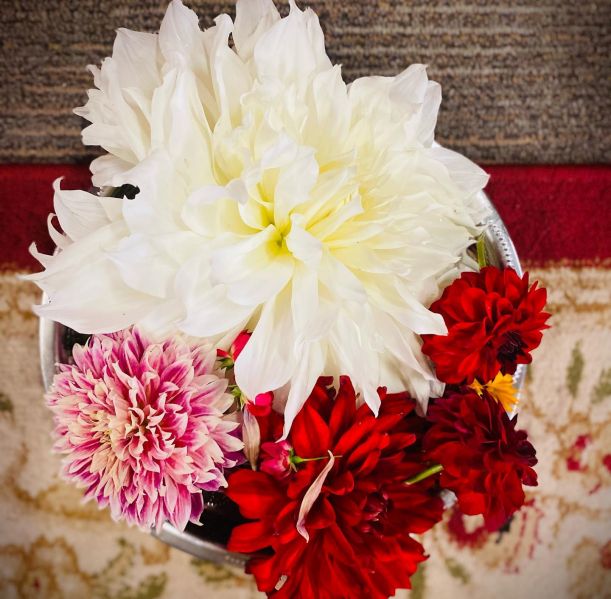 File:KAILASA-SEATTLE--USA-2021-07-22-1QLM Msi927AP77 31WJVcNtzcOxreHn9.jpg