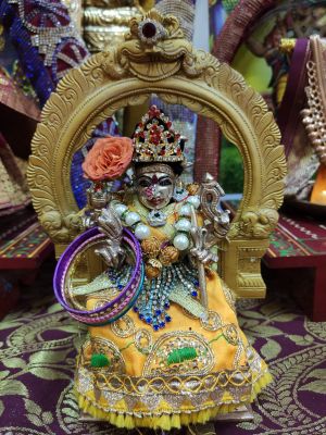 KAILASA-SINGAPORE-2021-01-16-14szYtM42GbuCqB6DqVo95s4uTUc0 LN9.jpg