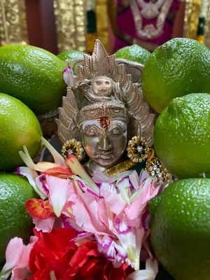 KAILASA-TORONTO--CANADA-2021-01-06-1wKMIOIo 2TwOmr4XkxzHfrYDIDKjhQ4.jpg