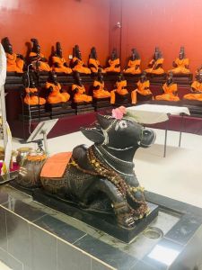 KAILASA-TORONTO--CANADA-2021-01-10-12Rx9HbRRbDCpGMEk5iHsG26y- XVDpwf.jpg