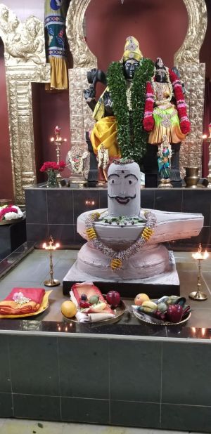 KAILASA-TORONTO--CANADA-2021-03-11-1w3vNmcykVX-89bBI803OcJp7li9Wp Lm.jpg