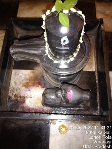 KAILASA India Uttar-Pradesh Kashi 221001-2022-01-23-1bvCIp8XJq3x3A35BDf99XNS 3ew5w80p.jpg