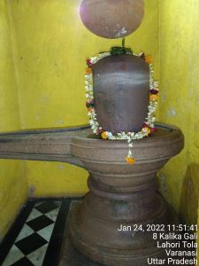 KAILASA India Uttar-Pradesh Kashi 221001-2022-01-24-1h5F05929ilolA3kHLE4pE7JNXKZ3YDil.jpg