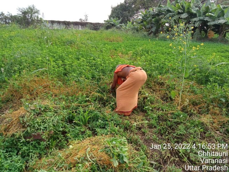 File:KAILASA India Uttar-Pradesh Kashi 221001-2022-01-25-1JiBJg3f3gWvfYT5tBAHkBu1QSN6rTMk2.jpg