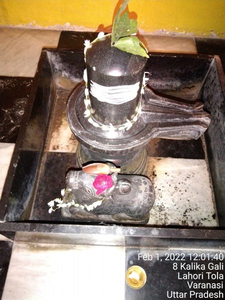 File:KAILASA India Uttar-Pradesh Kashi 221001-2022-02-01-1FXGEWzrzwW7O1lfJjjYpPkvZAo7cjVoP.jpg