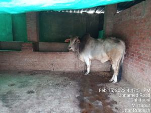 KAILASA India Uttar-Pradesh Kashi 221001-2022-02-16-1LZ4khOs4v6kTZE3tOmp09uyYFK2IMKJW.jpg