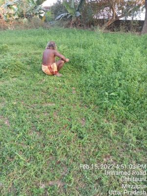 KAILASA India Uttar-Pradesh Kashi 221001-2022-02-16-1gd4rfrPZhkWsJqnn6FpZoNIxq7wckCe9.jpg