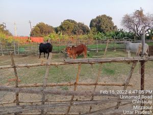 KAILASA India Uttar-Pradesh Kashi 221001-2022-02-16-1iFpdi8djrAQ0P7CzWOtP5zNUW8yLGvLm.jpg
