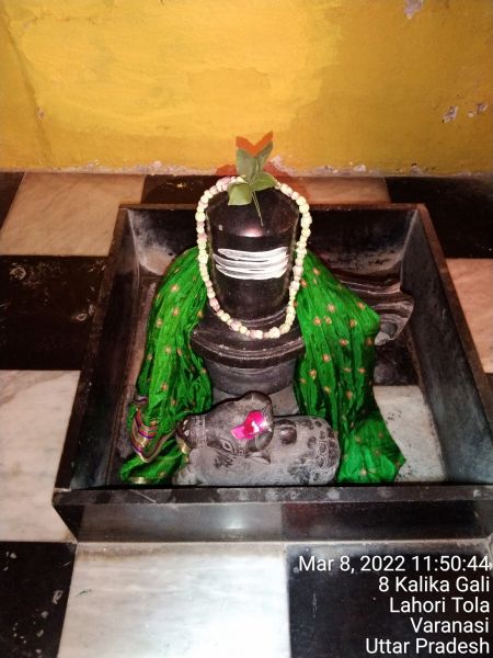 File:KASHI-SARVAJNAPEETAM-2022-03-08-1Ck6gM vw3ccBJLFfghuAVGGTZ31ceQ5a.jpg