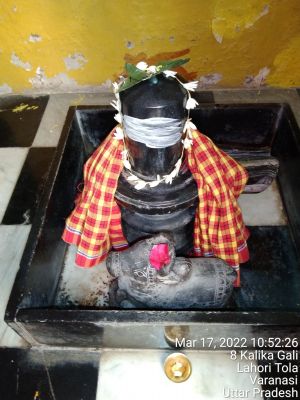 KASHI-SARVAJNAPEETAM-2022-03-17-1M XI8SP81Z-E2537wmilaBaK8rS8awqA.jpg