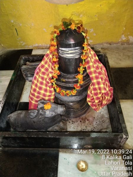 File:KASHI-SARVAJNAPEETAM-2022-03-19-18EbwGip52IJ-O0kXdnEzhIXWJyuQNMwT.jpg