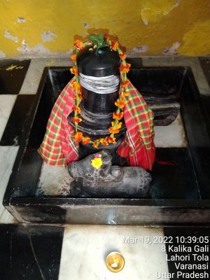 KASHI-SARVAJNAPEETAM-2022-03-19-1McwediGQyO6yhfO42ZNF-SrVRraLu3iS.jpg