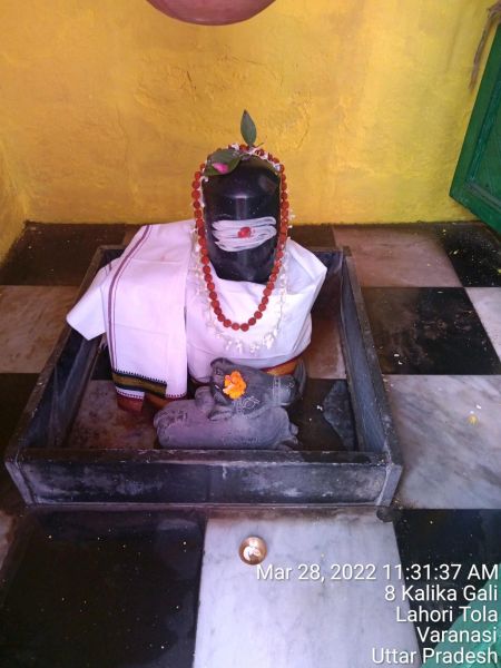 File:KASHI-SARVAJNAPEETAM-2022-03-28-1-mnGEJWppGdeppLR0fiUFxKkNAv89mbM.jpg