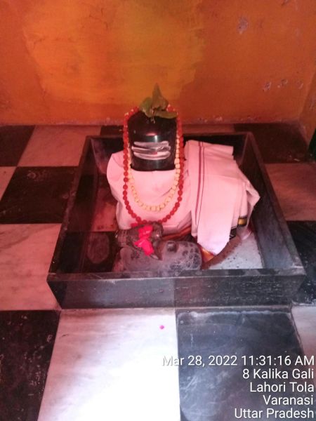 File:KASHI-SARVAJNAPEETAM-2022-03-28-1sF-ppccN1SA0zr1h3KbLEmrU43AT5bv4.jpg