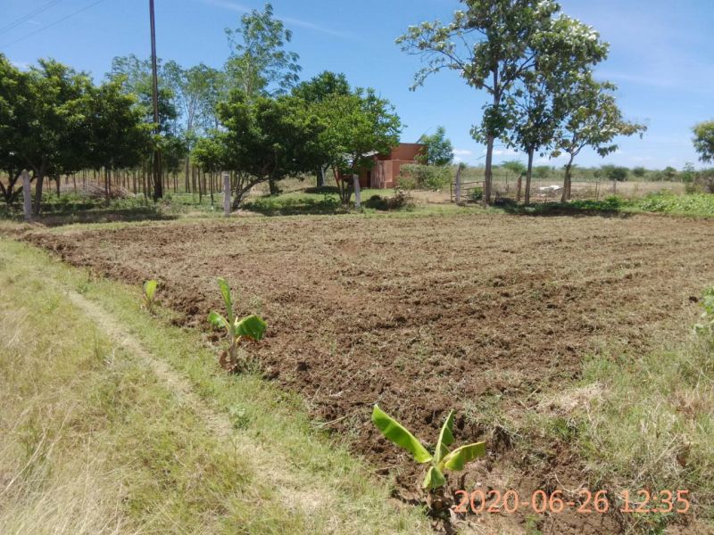 File:KPedia Photo 1173 13aRpsw5u7evzAVVv1PjniHPiz-0S2FpS.jpg