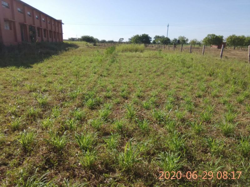 File:KPedia Photo 1185 1cNqXR8EIUlu35GwVZXdCTdG9HJPMuEmc.jpg