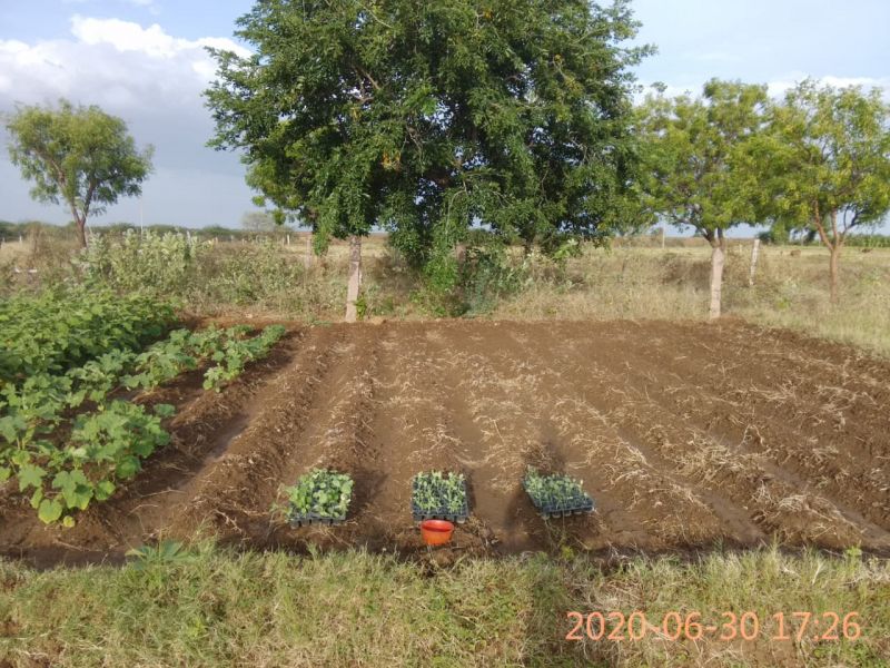 File:KPedia Photo 1186 10MokkoxGNkm5ZV1rtQPXCOjAn5PdEFOJ.jpg