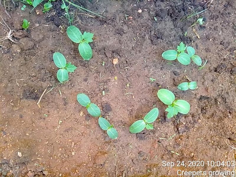 File:KPedia Photo 1200 1WodxcIU5rTjJWymkDUMQaknh X4cKZHp.jpg