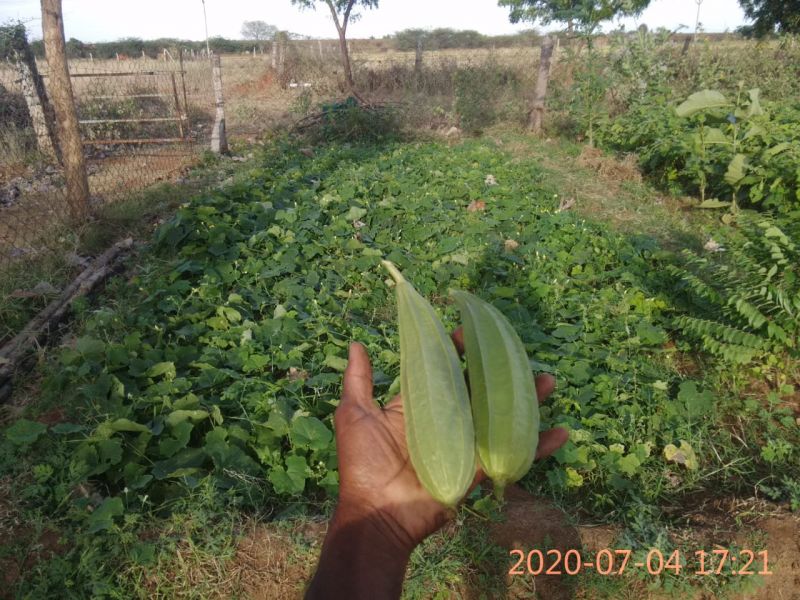 File:KPedia Photo 1265 1MUG6axp5rKTvlIn1B4qQKHjCBDwBN2gp.jpg