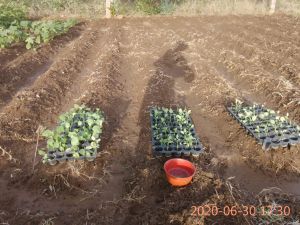 KPedia Photo 1285 13C6c5jIfnnuYpxHN r8lASY-soJsDCK4.jpg