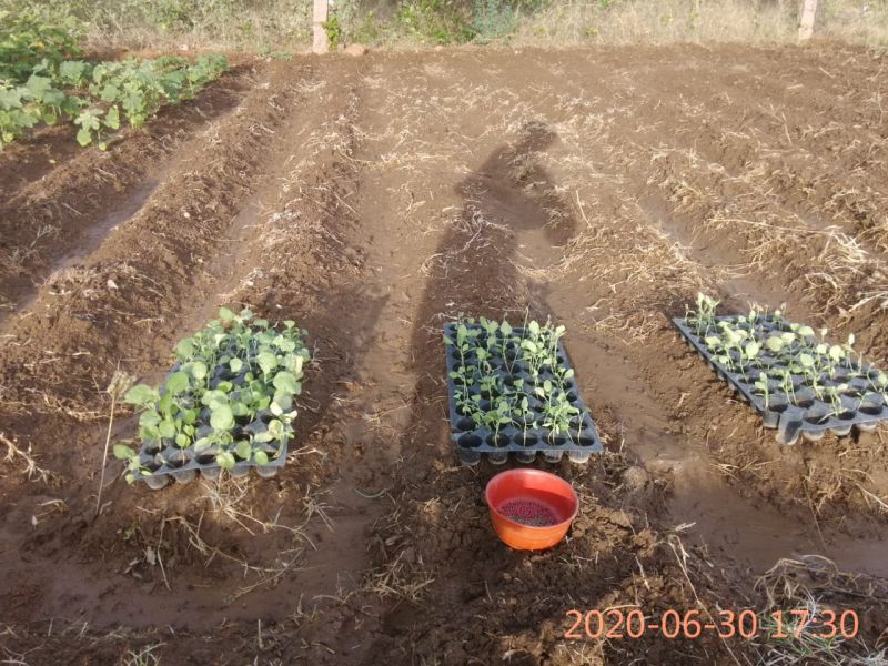 File:KPedia Photo 1285 13C6c5jIfnnuYpxHN r8lASY-soJsDCK4.jpg