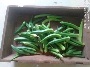 KPedia Photo 1297 1Jy35ODKn8AMwu tNBIcrp26LDwpG6FVe.jpg