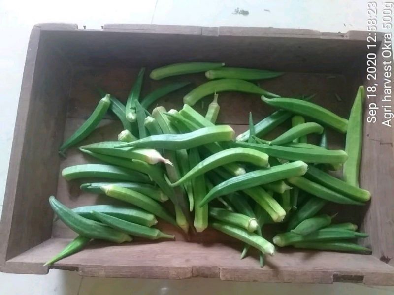 File:KPedia Photo 1297 1Jy35ODKn8AMwu tNBIcrp26LDwpG6FVe.jpg