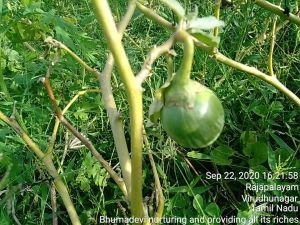 KPedia Photo 1298 1R2HPBRR3J iH9dKoLAqCo3eGIbP-us2G.jpg