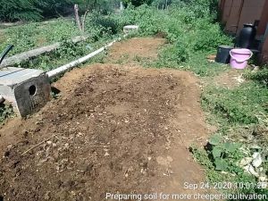 KPedia Photo 1300 1DR2SXyGRqKZtHjHCMXGKqZoAtMhHdsvz.jpg