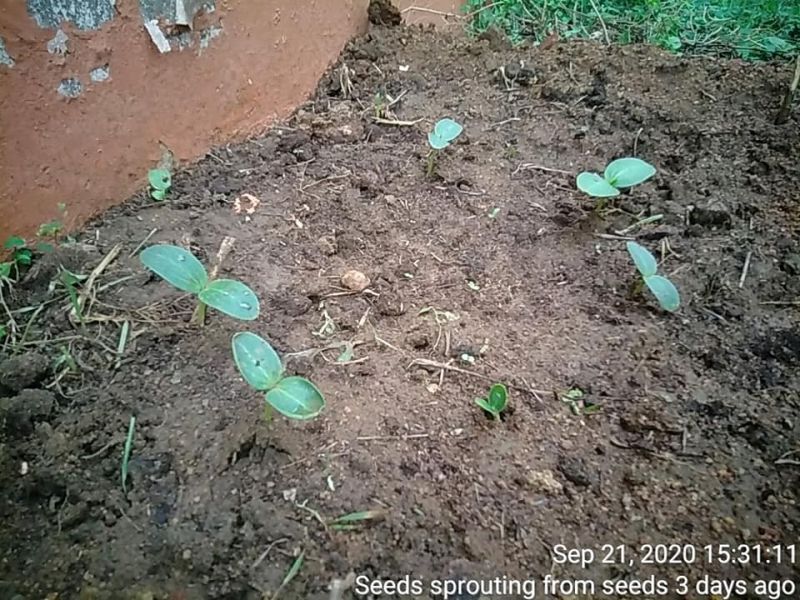 File:KPedia Photo 1301 1YXvxqbfnRNXC14x2oO6RtpYbKNY-N07O.jpg