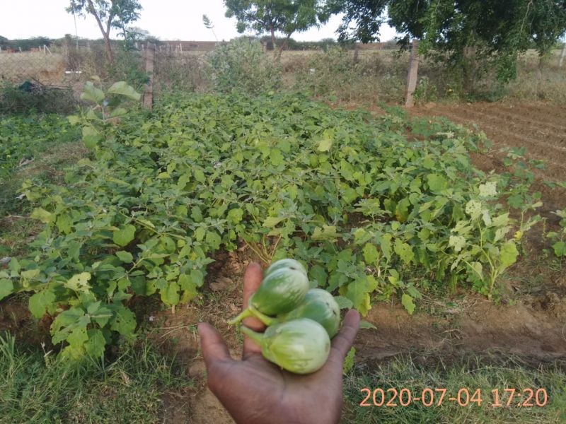 File:KPedia Photo 1401 14XmiVHPyPy83Fd-mxVYHhNFtxf8km5qL.jpg