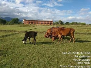 KPedia Photo 1413 131Kd4W3sovo3126MrEY9upDdMlrfnCZJ.jpg