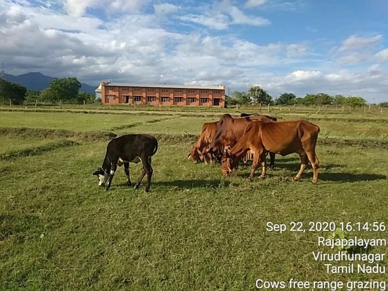 File:KPedia Photo 1413 131Kd4W3sovo3126MrEY9upDdMlrfnCZJ.jpg