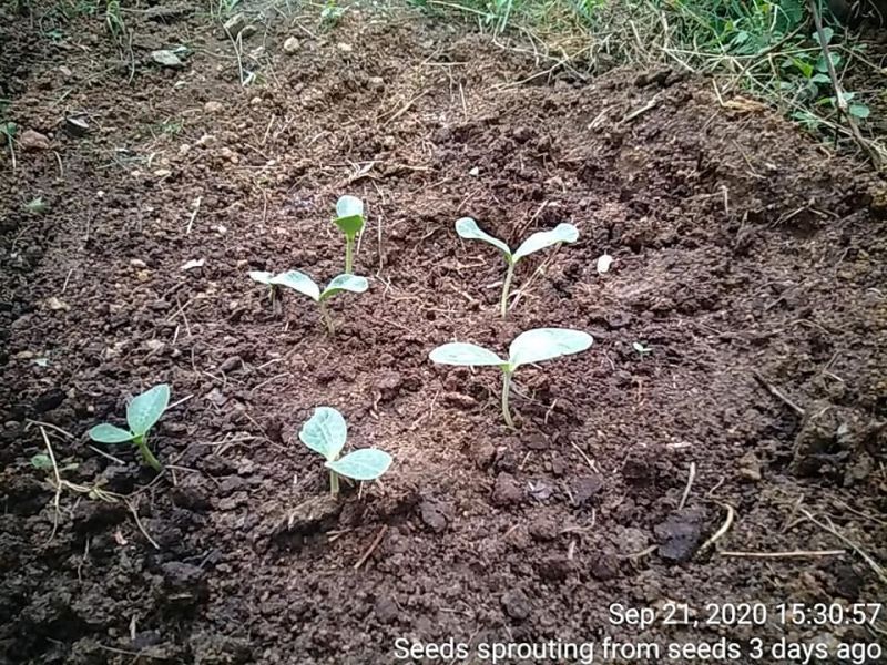 File:KPedia Photo 1520 1pkODTqPDSH2-WETgR1tk3vK-z9VUJ6y2.jpg